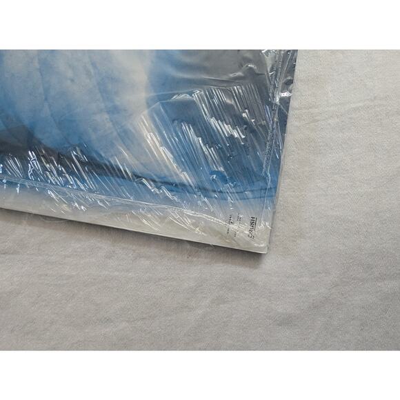 Lorde Signed Vinyl Virgin LP Autographed X-Ray Picture Disc - Picture 13 of 16